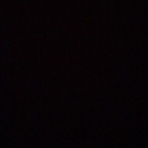 Meet your Posher, Wyatt